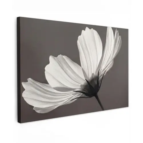 Bloem - Minimalistisch - Zwart - Wit canvas 2cm klein -z3d