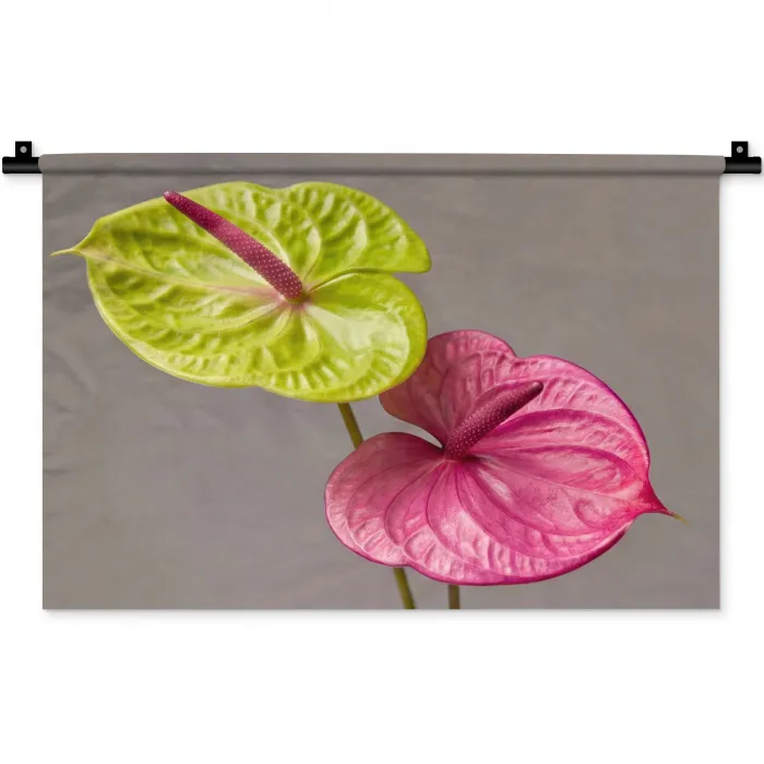 Planten - Anthurium - Groen - Roze Wandkleed katoen klein -zz3d