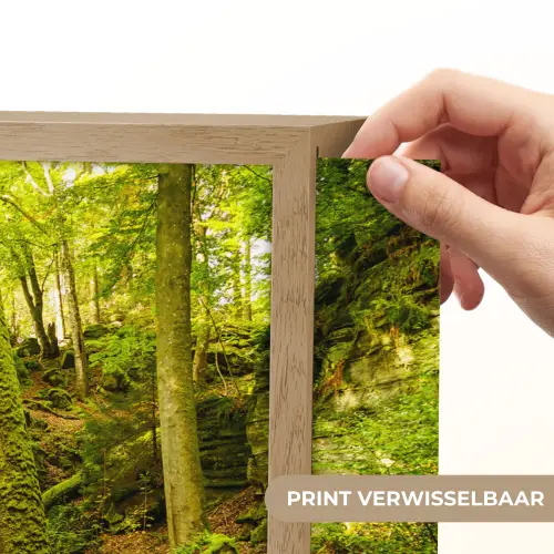 Bomen - Steen - Bos - Natuur - Planten Light Box met batterij (Wandlamp) middel -USP_websiteprintNL