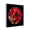 Bloem - Roos - Rood - Zwart aluminium wit klein -3d