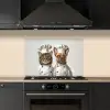 Kat - Hond - Kokskleding keuken achterwand spatscherm klein -sfeer1