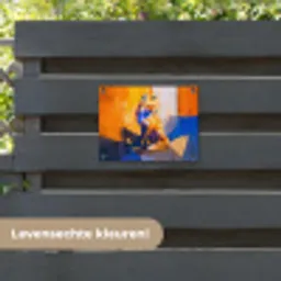 Vos - Oranje - Vormen - Abstract tuinposter los doek klein -sfeer3
