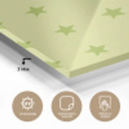 Sterren - Patroon - Groen plexiglas 5mm klein 11 -wsfeer2_DE