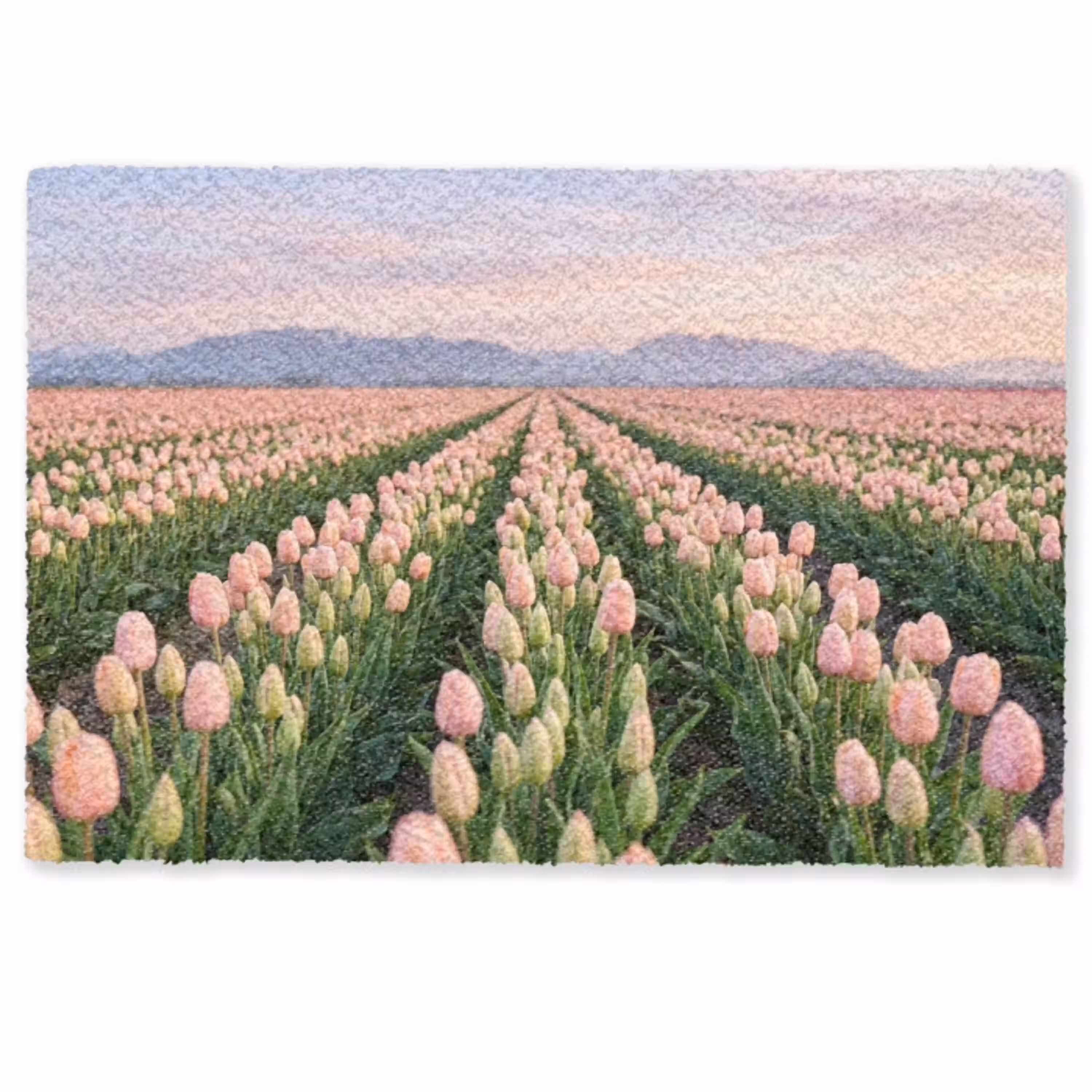 Tulpen - Landschap - Roze Deurmat klein -zkaufland3d