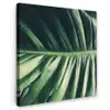 Bladeren - Tropisch - Jungle Tuinposter op houten frame 2 cm dik klein -3d
