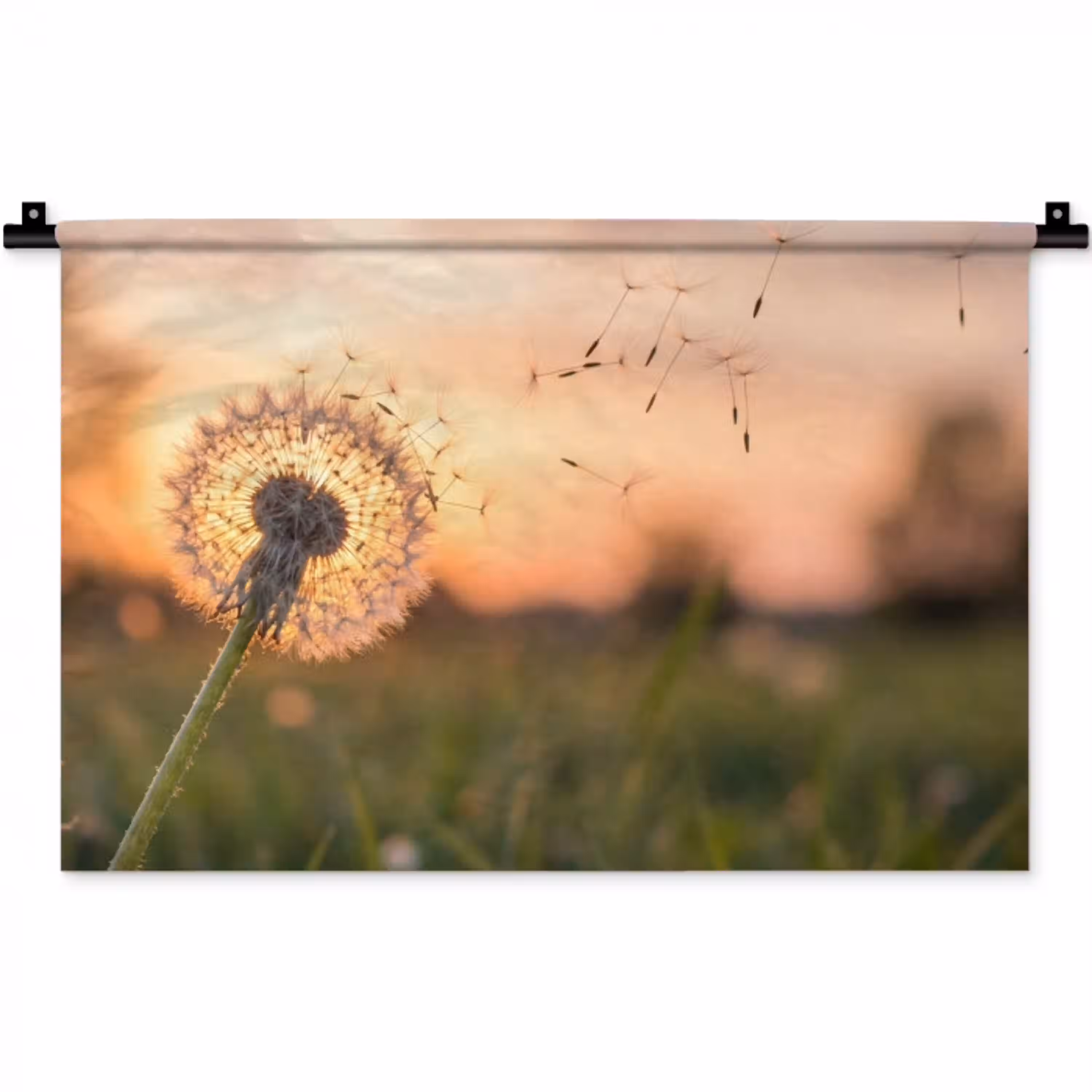 Paardenbloem - Zonsondergang - Veld Wandkleed katoen klein -zz3d