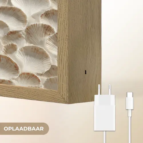 Schelpen - Waaiervorm - Wit Light Box met batterij (Wandlamp) middel 907 -USP_websiteoplaadbaarNL