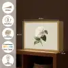 Cameliabloem - Wit - Groen Light Box met batterij (Wandlamp) middel -USP_websiteoverzichtNL