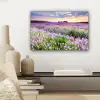 Lavendel - Bloemen - Zonsondergang - Paars - Weide canvas 2cm klein -sfeer6