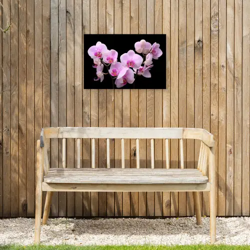 Orchidee - Bloemen - Roze - Flora Tuinposter op houten frame 2 cm dik klein -sfeer4