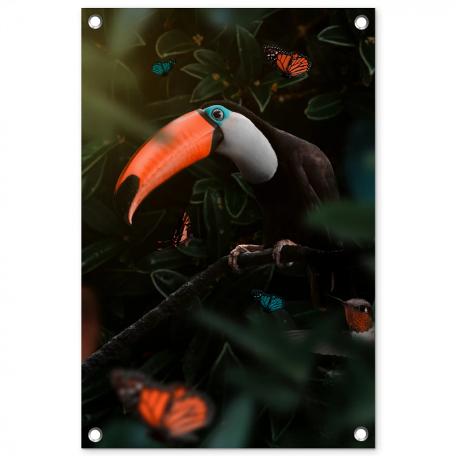Toekan - Vogel - Jungle tuinposter los doek klein -3d