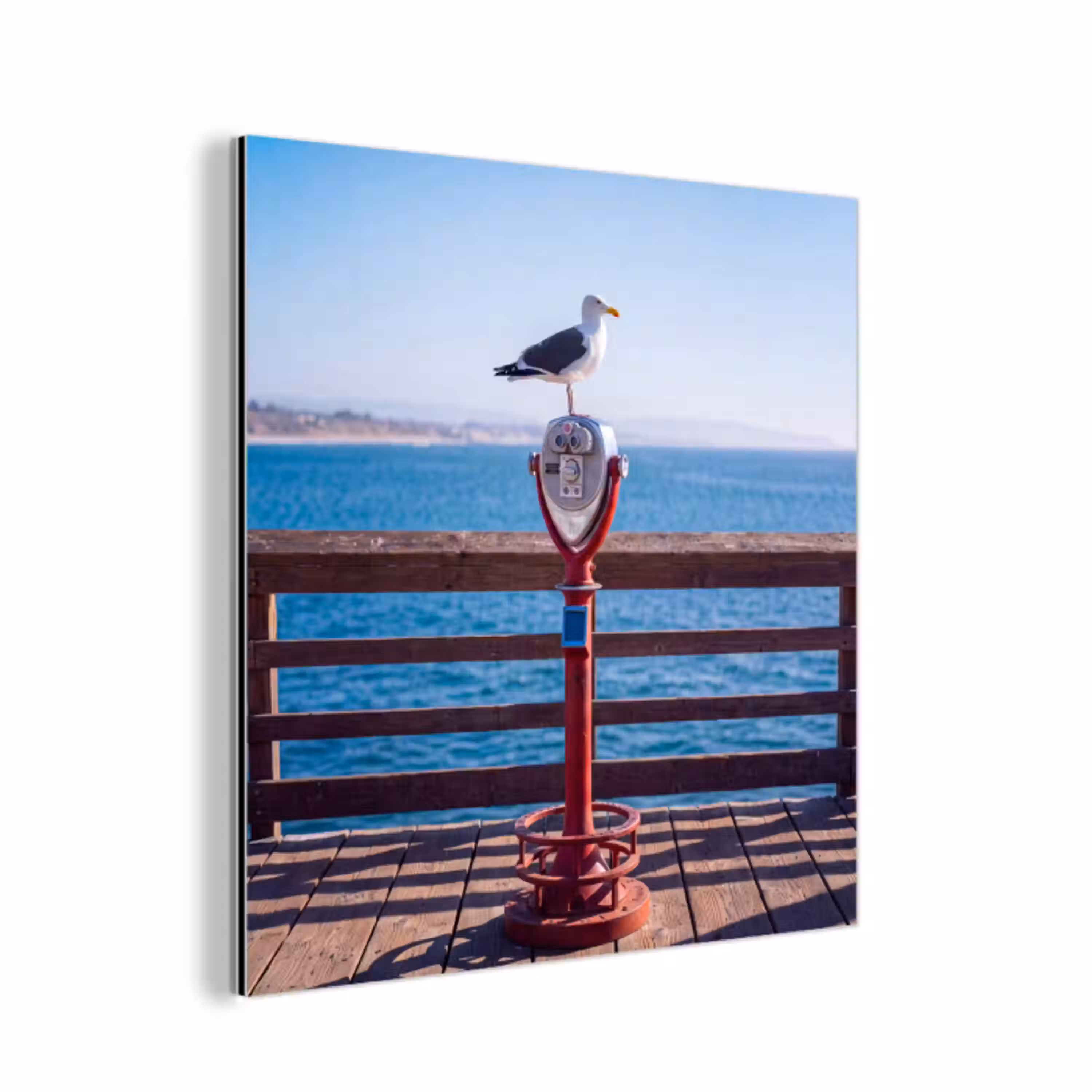 Vogel - Verrekijker - Kust - Zee - Blauw aluminium wit klein -3d