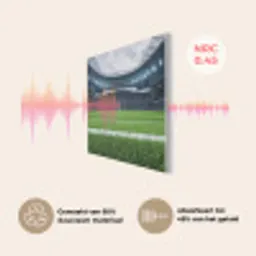 Voetbal - Stadion - Sport - Groen PET vilt klein -USP_NL