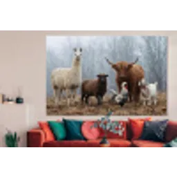 Boerderijdieren - Groep - Mist - Natuur - Rustiek forex 5mm xxl -woonkamer