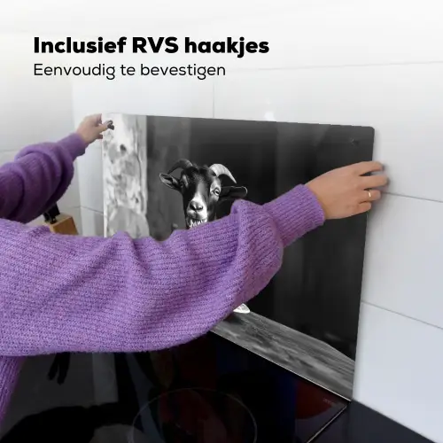 Geit - Bord - Spaghetti - Zwart Wit Inductie beschemer met haakjes klein -ky-ophangen-nl