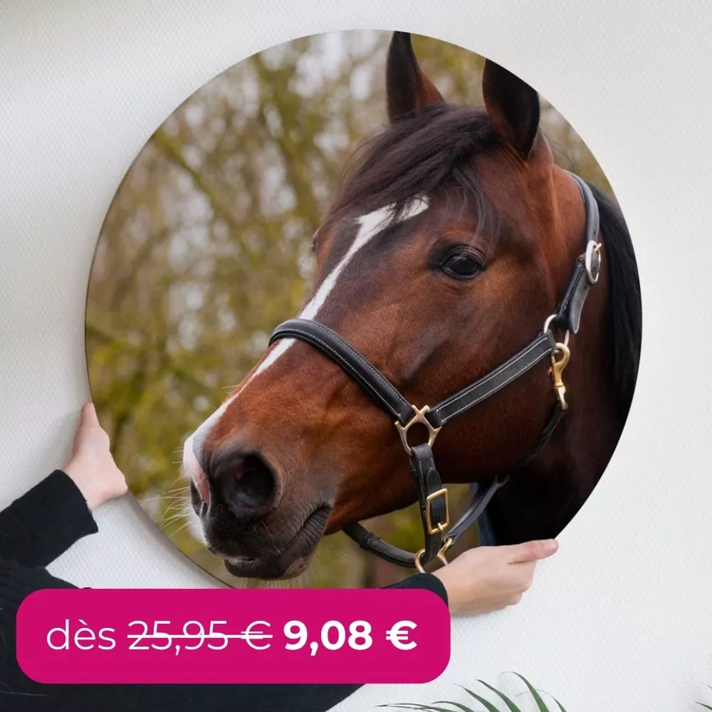 Des 25,95  € 9,08  €