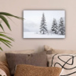 Fijnsparren - Sneeuw - Winter - Landschap - Stilte canvas 2cm klein -sfeer1