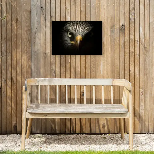 Indringende blik van een arend Tuinposter op houten frame 2 cm dik klein -sfeer4