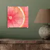 Grapefruit - Roze - Levendig plexiglas 5mm klein -sfeer3