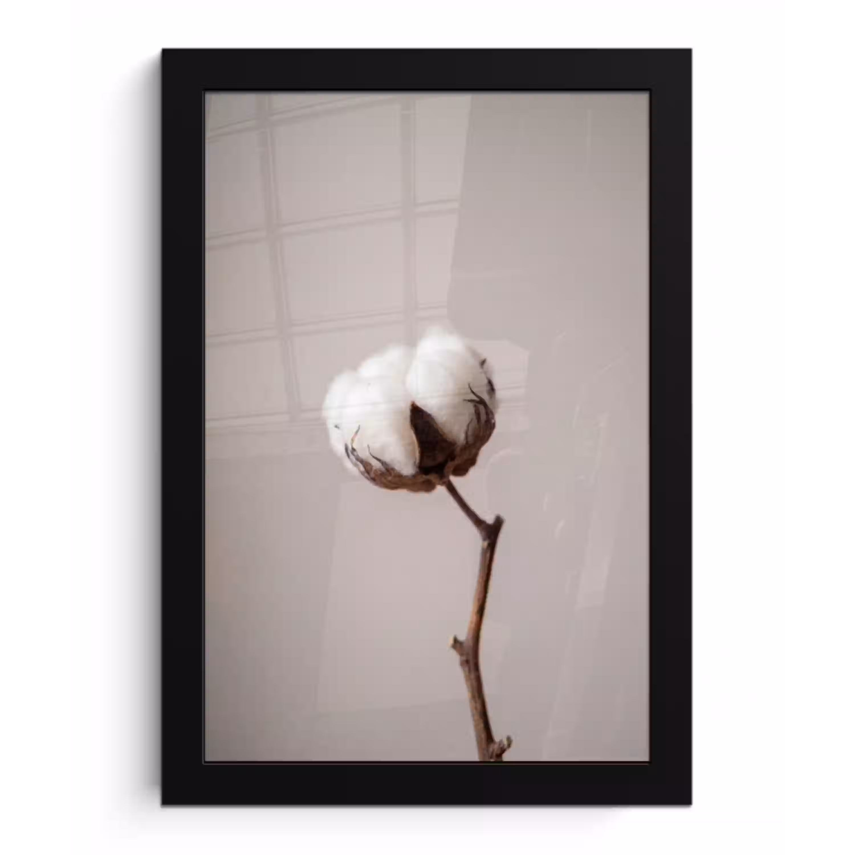 Katoenbol - Minimalistisch - Wit fotolijst zwart zonder passe partout klein -3d