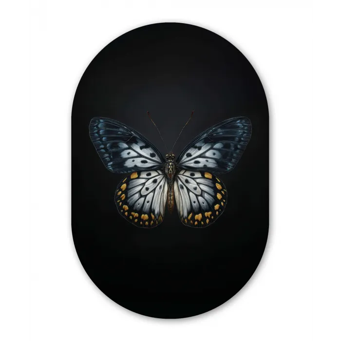Vlinder - Monochroom - Balans Wandcirkel Ovaal Forex klein -3d
