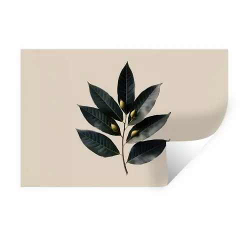 Laurierbladeren - Bloemknoppen - subtiel Muursticker klein -3d