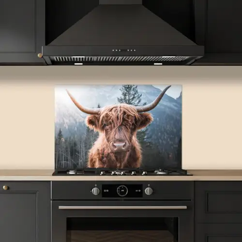Schotse hooglander - Koe - Dieren - Berg - Natuur keuken achterwand spatscherm klein -sfeer1