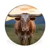 Longhorn - Landschap - Zonsondergang Wandcirkel aluminium klein -3d