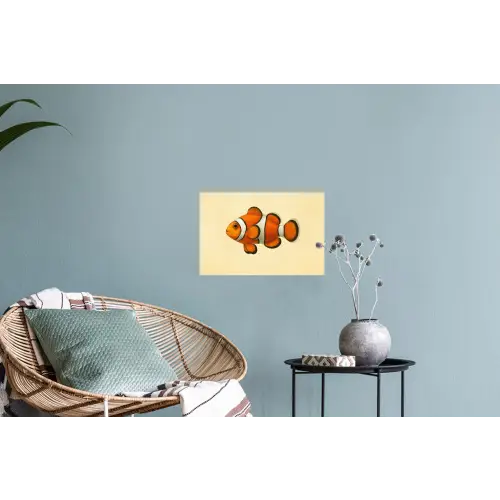 Vis - Oranje - Strepen Muursticker klein -plant