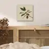 Tak - Groene Bladeren - Vruchten aluminium wit klein -sfeer3