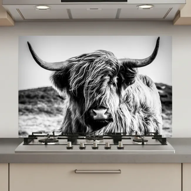 Schotse hooglander - Natuur - Koe - Zwart - Wit keuken achterwand spatscherm klein -3d_website