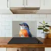 Kleurrijk - Vogeltje - Veren - Blauw keuken achterwand spatscherm klein -sfeer2