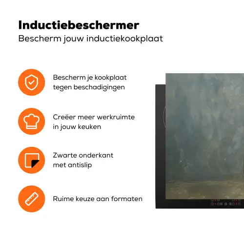 Schep - Gereedschap - Schilderij Inductie beschermer vinyl 3mm klein -zzzzzzz-td-ups