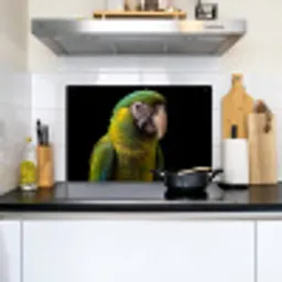 Ara - Portret - Groen Inductie beschemer met haakjes klein -sfeer2