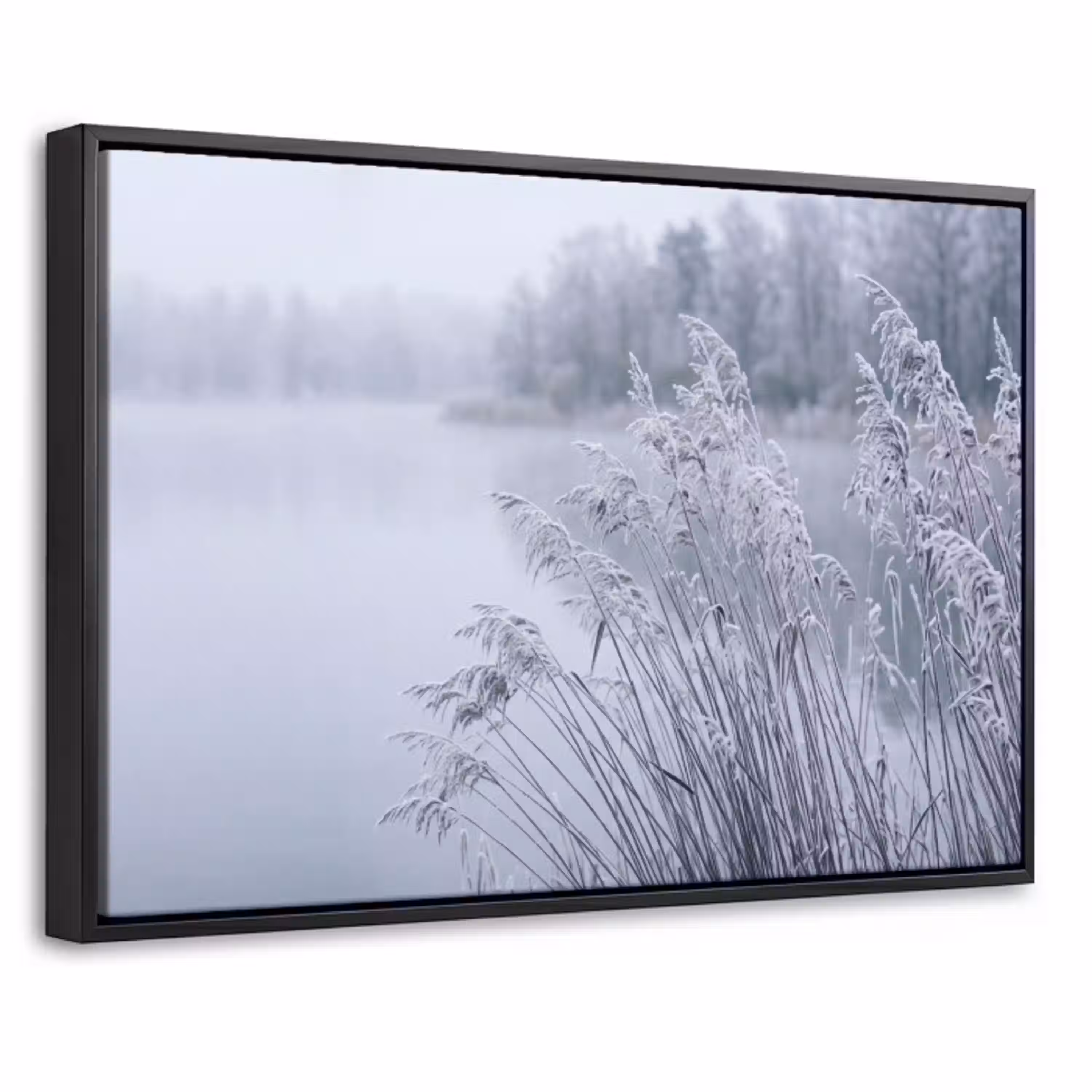 Riet - Bevroren - Winter - Natuur Canvas met baklijst klein -threedimensional_3d_global