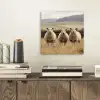 Schapen - Weidenlandschap - Heuvels aluminium wit klein -sfeer1