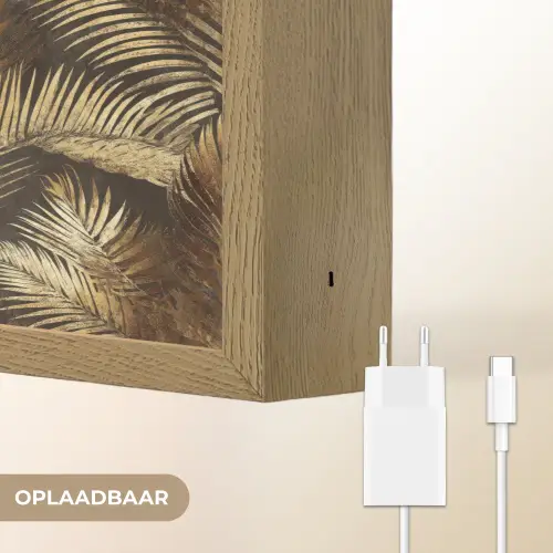 Tropisch - Bladeren - Goud Light Box met batterij (Wandlamp) middel 907 -USP_websiteoplaadbaarNL