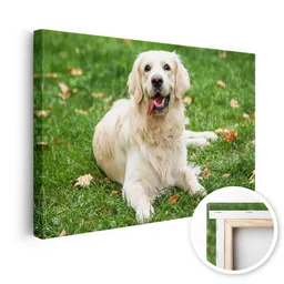 canvas-b-product1-1.png