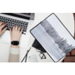 Meer - Dennen - IJs - Winter - Rustgevend laptophoes neopreen klein -bureau