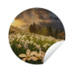 Bloemenveld - Heuvels - Zonsondergang - Berg - Natuur - Wit - Heuvels Wandcirkel tuinposter met ringen klein -3d