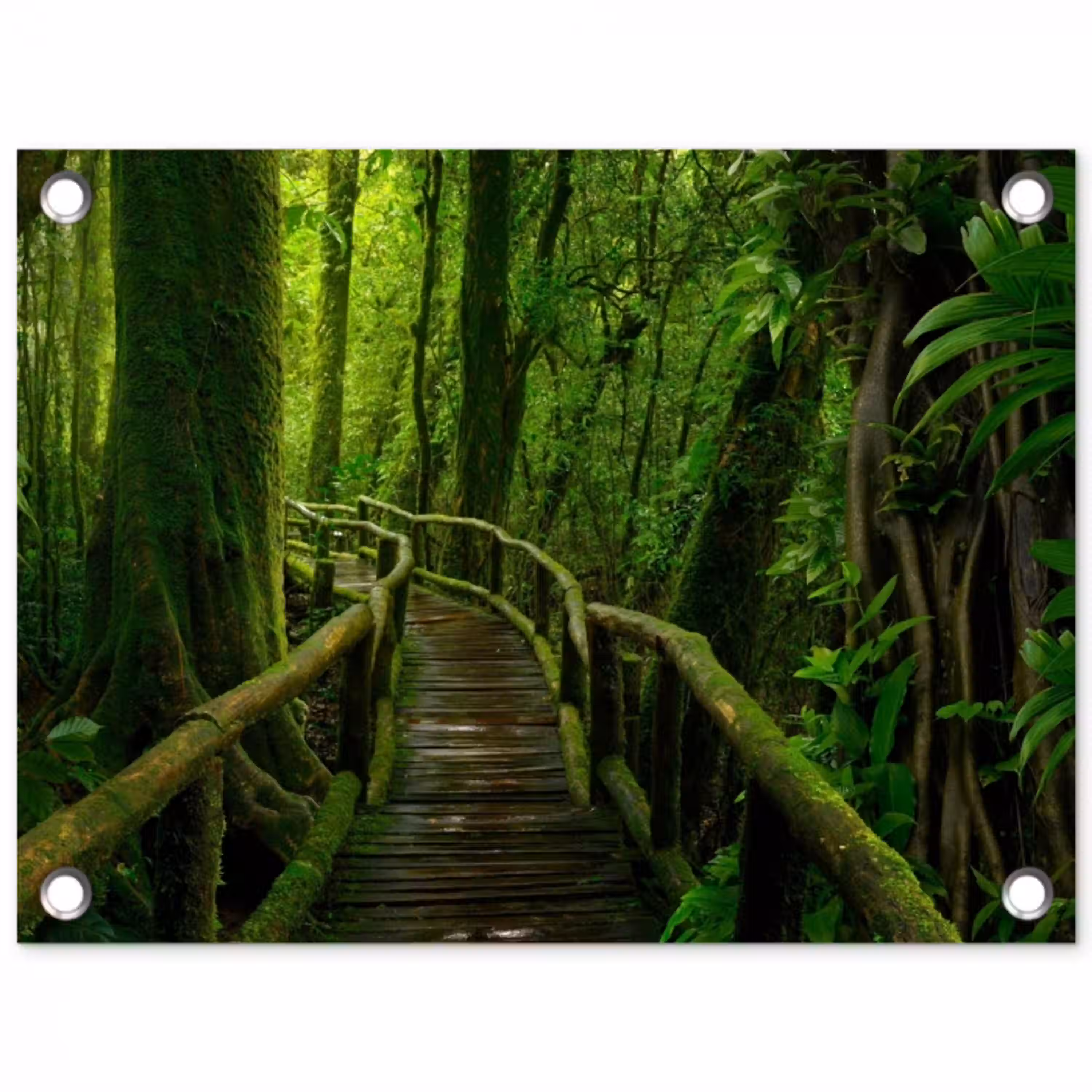 Groene Oase van Rust tuinposter los doek klein -3d