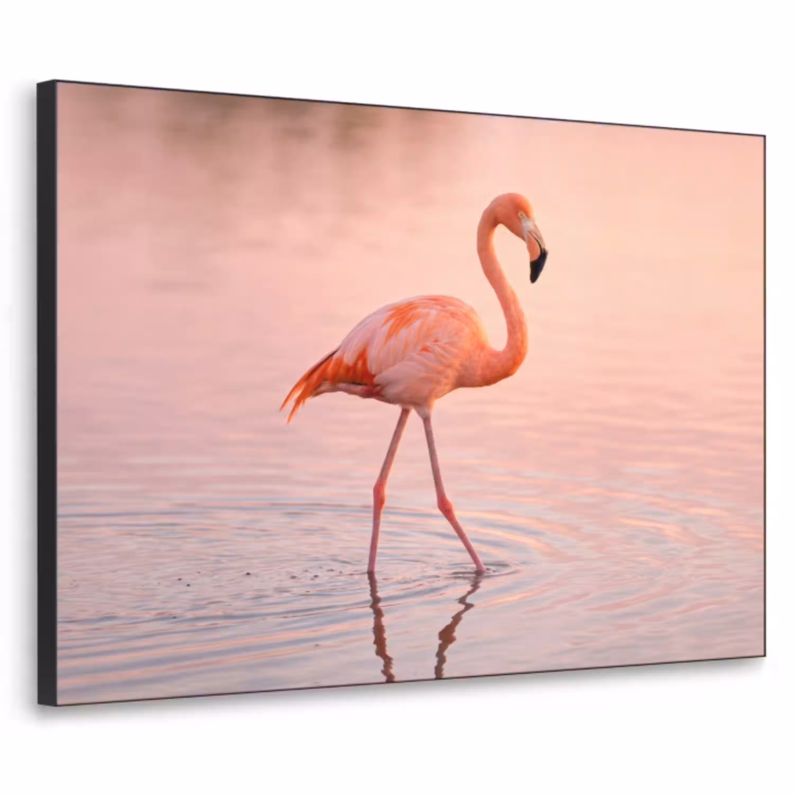 Flamingo - Water - Roze Textielframe zwart klein -3d
