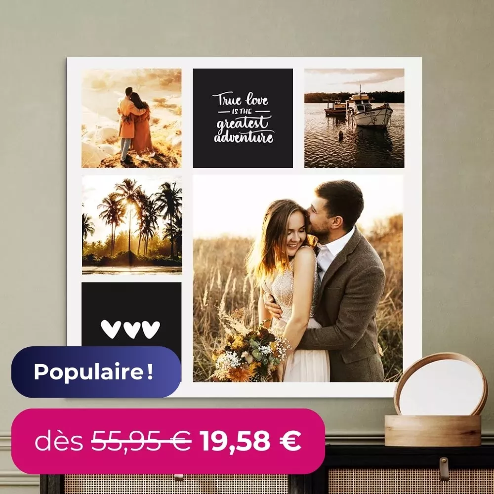 Populaire! Des 55,95  € 19,58  €