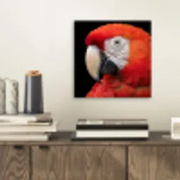 Ara - Portret - Rood aluminium wit klein -sfeer1