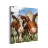 Koeien - Dieren - Weiland - Natuur aluminium wit klein -3d