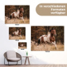 Paard - Bruin - Gras tuinposter los doek klein -Xsfeer9_DE