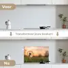 Paardenbloem - Zonsondergang - Veld keuken achterwand spatscherm klein -voor_na_NL