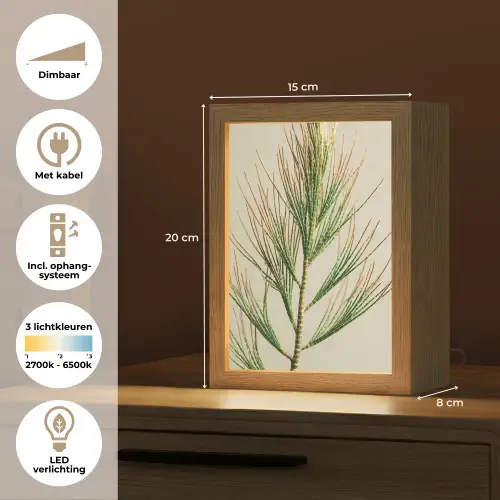 Dennentak - Naaldvormige bladeren - Lichtgroen Light Box met kabel (Tafellamp) klein -USP_NL