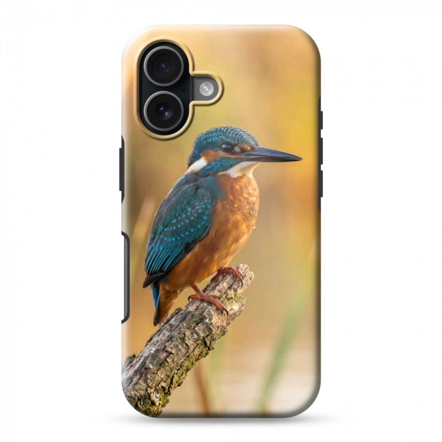 IJsvogel - Tak - Water - Kleurrijk - Levendig Toughcase MagSafe Apple iPhone 17 klein -3d