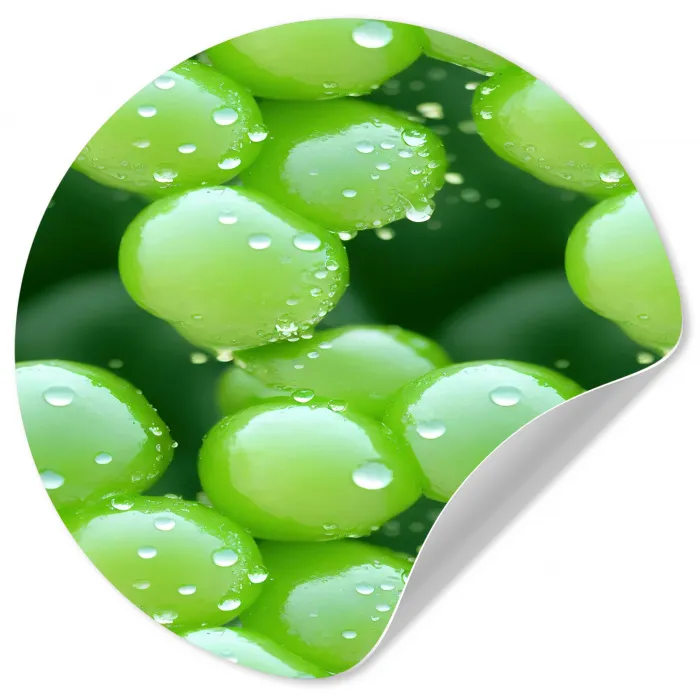 Druiven - Groen - Druppels Wandcirkel behangsticker klein 186 -3d